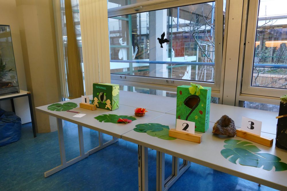 Ausstellungsstücke im Biologiesaal